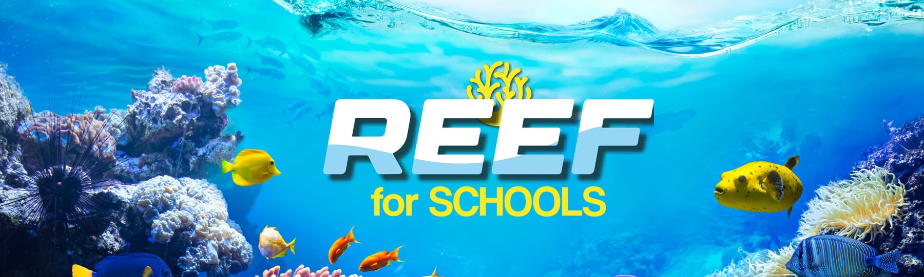 Reef-For-Schools-Header