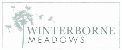 Winterborne-logo-700×287